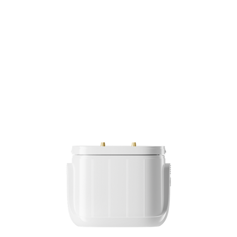 Dragbar Icz Max Batterie - (Device)